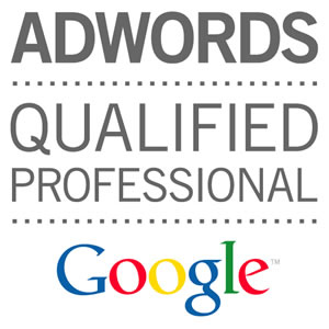 google-qualifier-professional